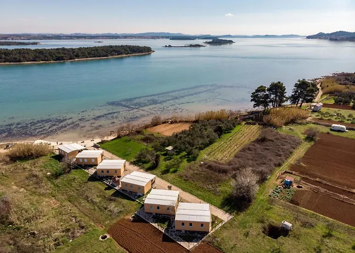 Mobile Sea Shell Pasman