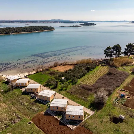 Mobile Sea Shell Pašman