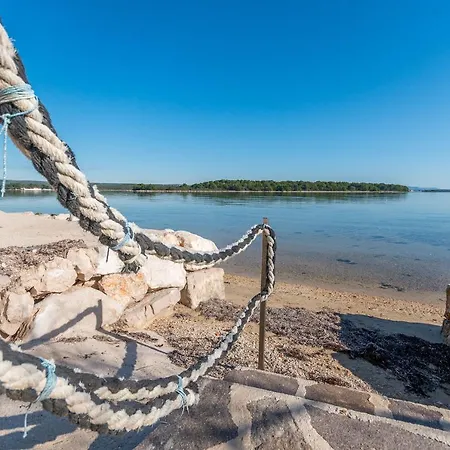 Mobile Sea Shell Pašman